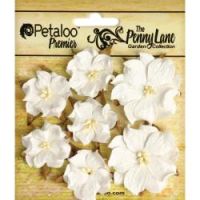 Petaloo - Penny Lane Mini Wild Roses