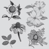 Sizzix Hampton Art - Botanical Stamps and Die Set  -