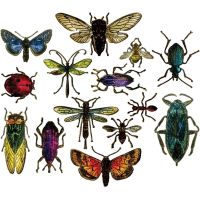Tim Holtz Alterations - Entomology Dies