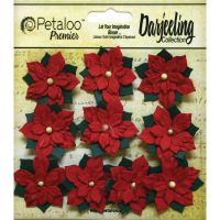 Petaloo Premier Darjeeling Collection - Red Poinsettias