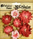 Petaloo "The Penny Lane" Mini Wild Roses - Antique