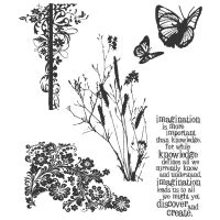 Tim Holtz Stampers Anonymous - Nature's Discovery Stamp Set