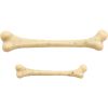 Tim Holtz Idea-ology - Boneyard  Resin Bones  -
