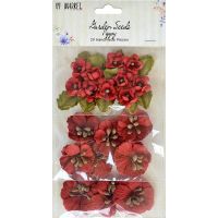49th and Market - Garden Seeds/Poppy