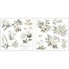 Craft Consortium - Hackney & Co. - Belle Fleur Premium  Collection 6x6  paper pad  ^