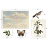 Tim Holtz Idea-ology - Organic Layers