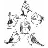 Tim Holtz Stampers Anonymous Bird Crazy Stamps