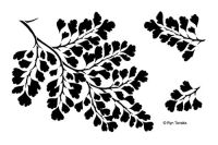 Designs by Ryn - Maidenhair Fern Laser Cut Mylar Stencil