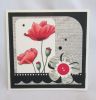 Penny Black - Blooming Garden