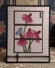 Sweet n Sassy - Flowers in Bloom Stamp Set