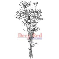 Deep Red - Daisy Bouquet Stamp