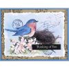 Stampendous - Quck Beautiful Birds Card Panels  -