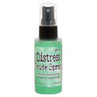 Tim Holtz Ranger - Distress Oxide Spray (Colors: Cracked Pistachio)