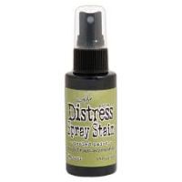 Tim Holtz  Ranger - Distress Spray Stain (Colors: Peeled Paint)